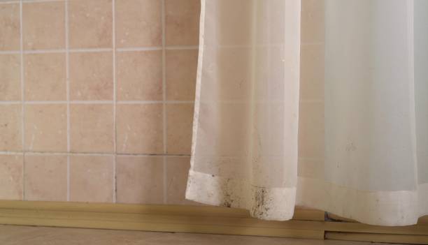 Best Biohazard Mold Removal  in Inglis, FL