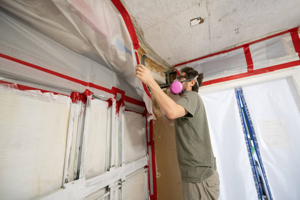 Best Mold-Related Health Consultation  in Inglis, FL