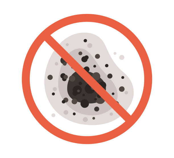 Best Black Mold Removal  in Inglis, FL