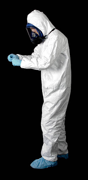 Best Industrial Mold Remediation  in Inglis, FL