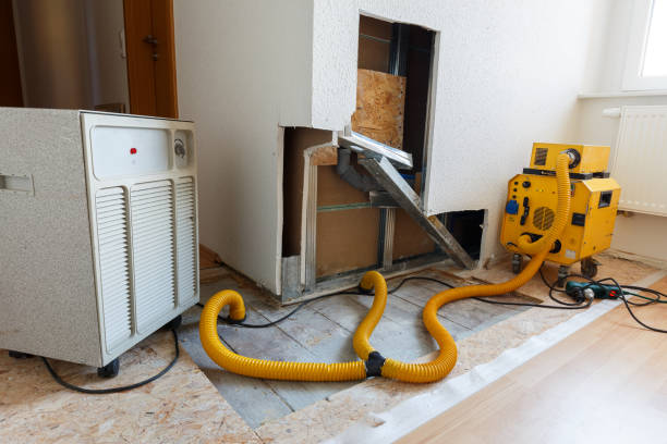 Best Environmental Consulting for Mold Prevention  in Inglis, FL
