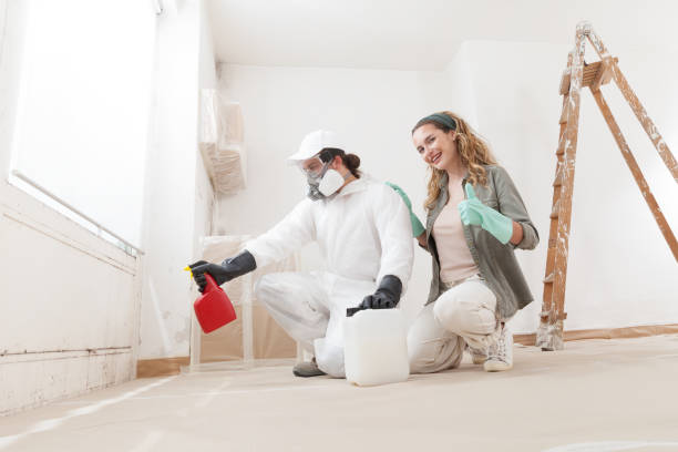  Inglis, FL Mold Removal Pros