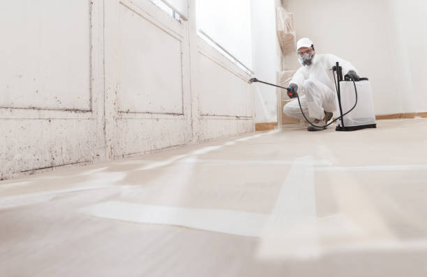 Best Asbestos and Lead Testing During Mold Inspection  in Inglis, FL